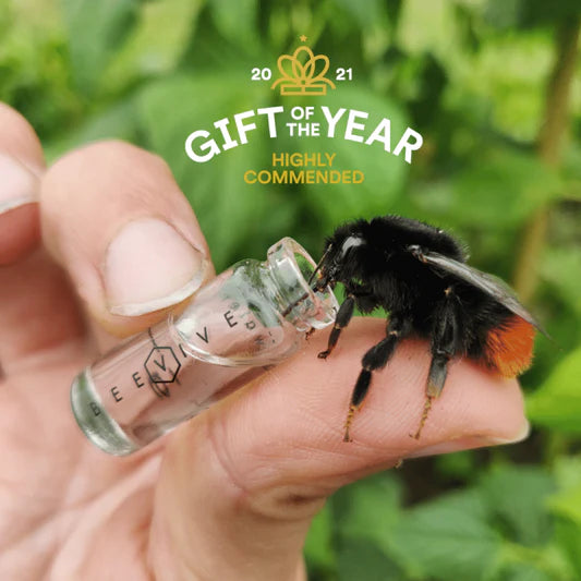 Bee revival kit