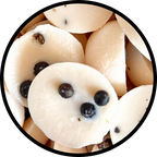 Wax Melt - Frosted Juniper