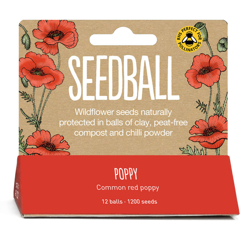 Seedballs